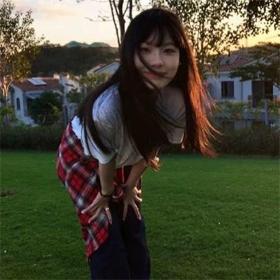 红野菊