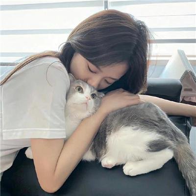 365天：今时之欲